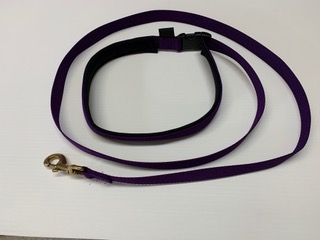 Chilkoot Hands Free Leash